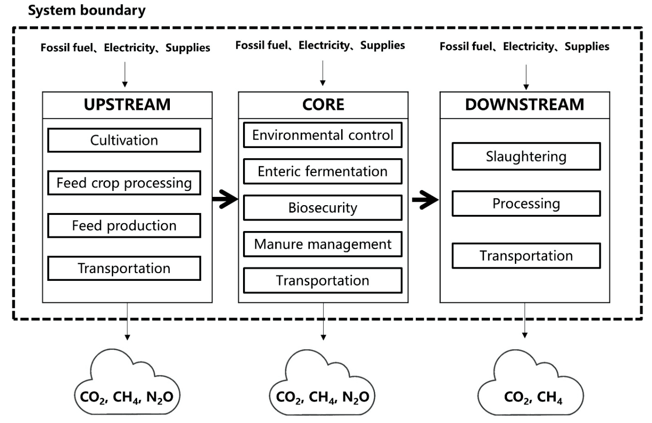 A diagram of a diagramDescription automatically generated